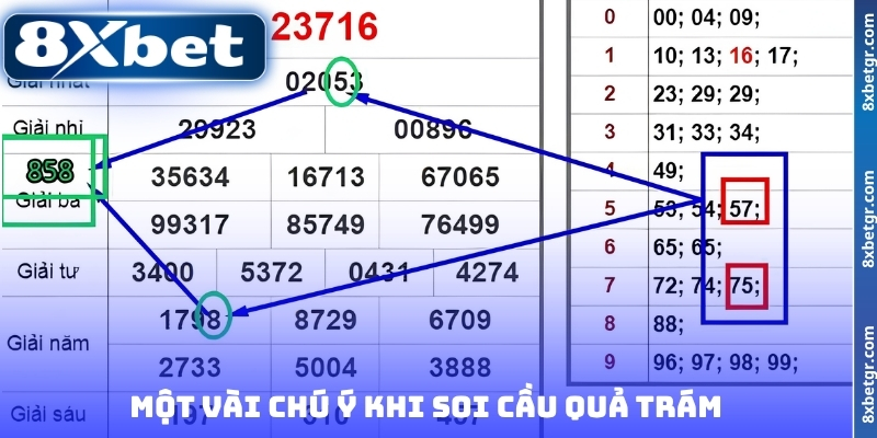 Một vài chú ý khi soi cầu quả trám